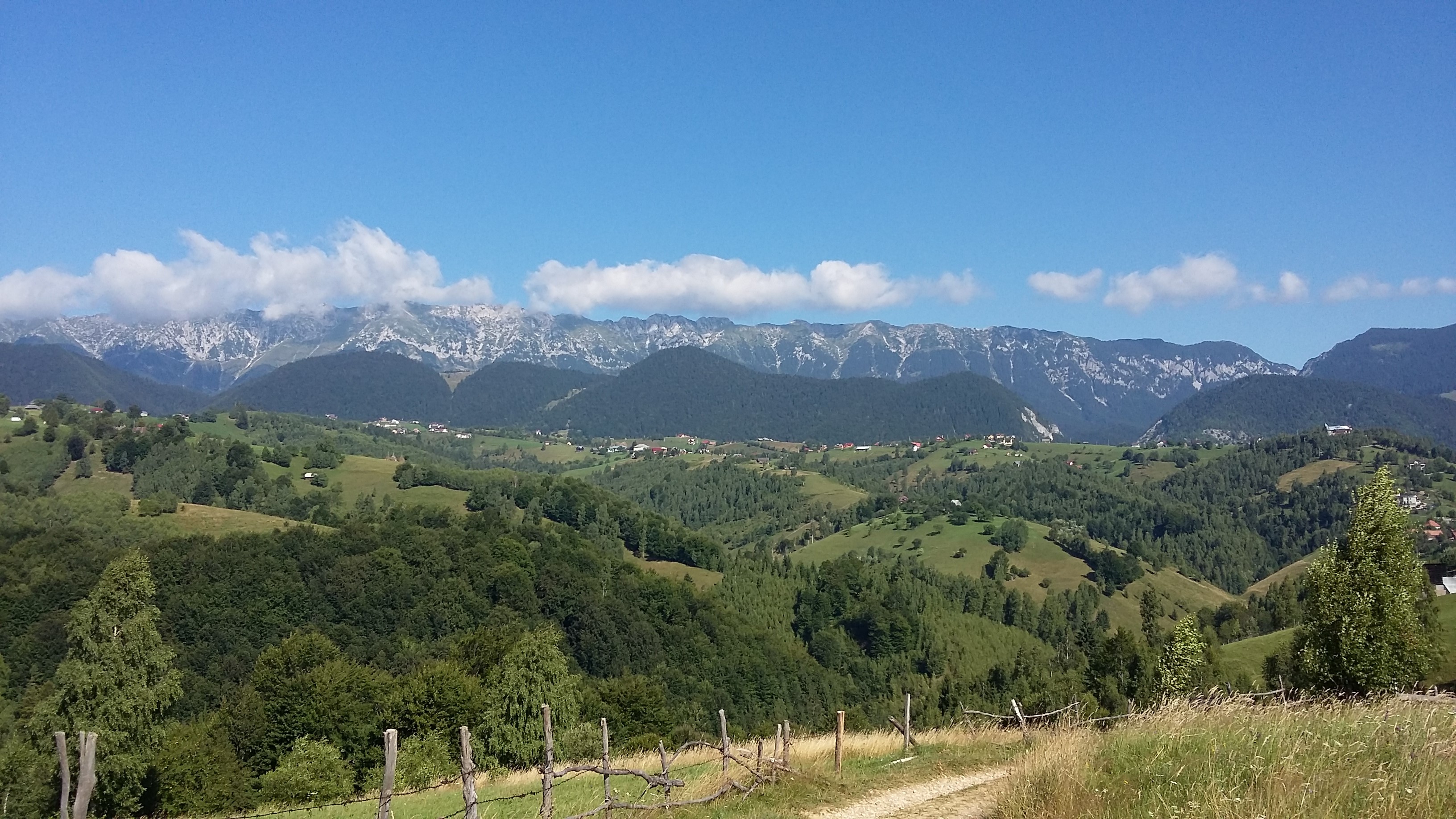 poze nicoleta 134.jpg