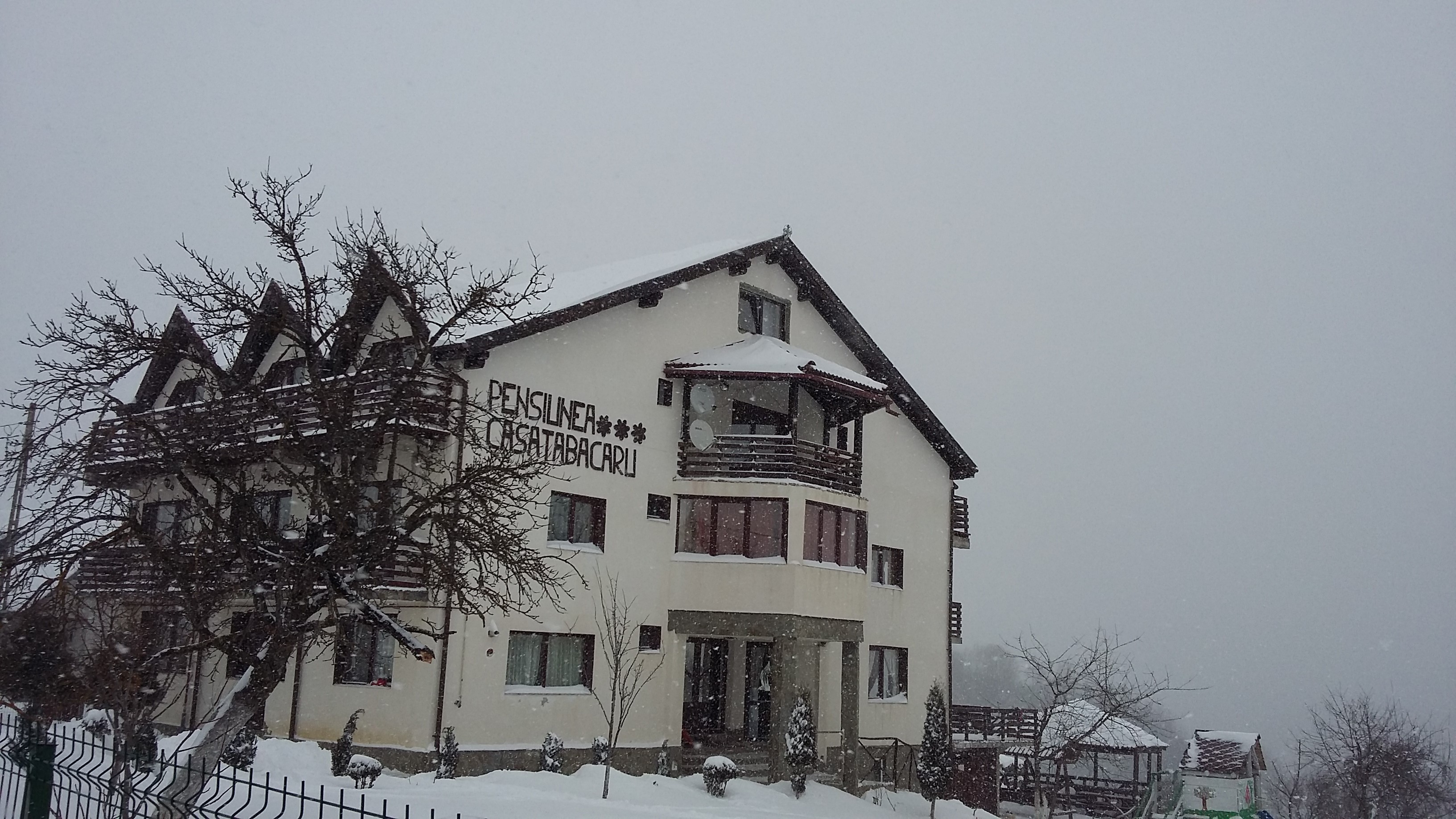 poze nicoleta 961.jpg