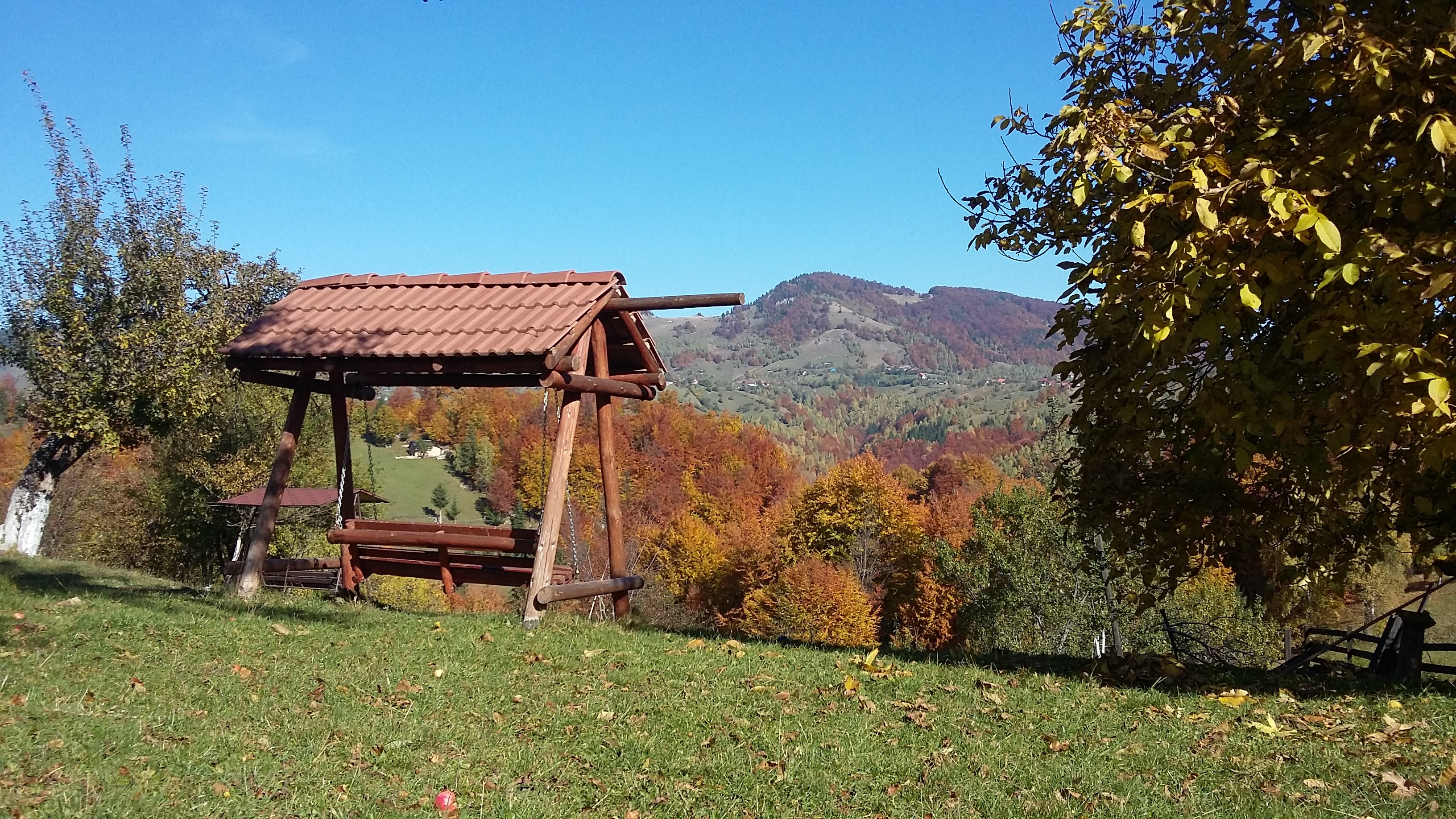 poze nicoleta 523.jpg