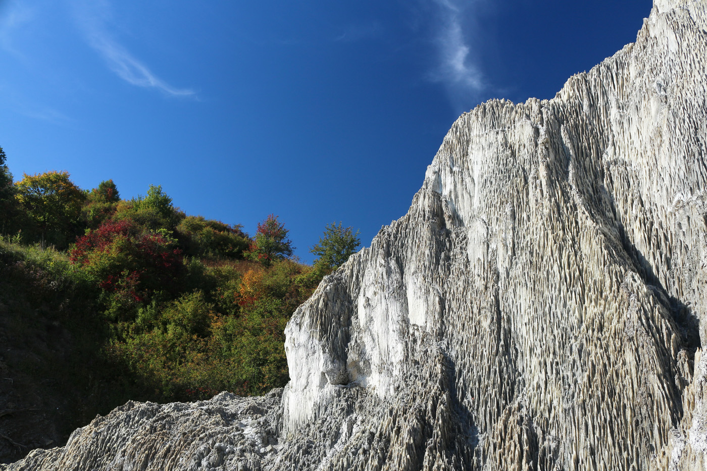 B_Sovidek szinei.jpg