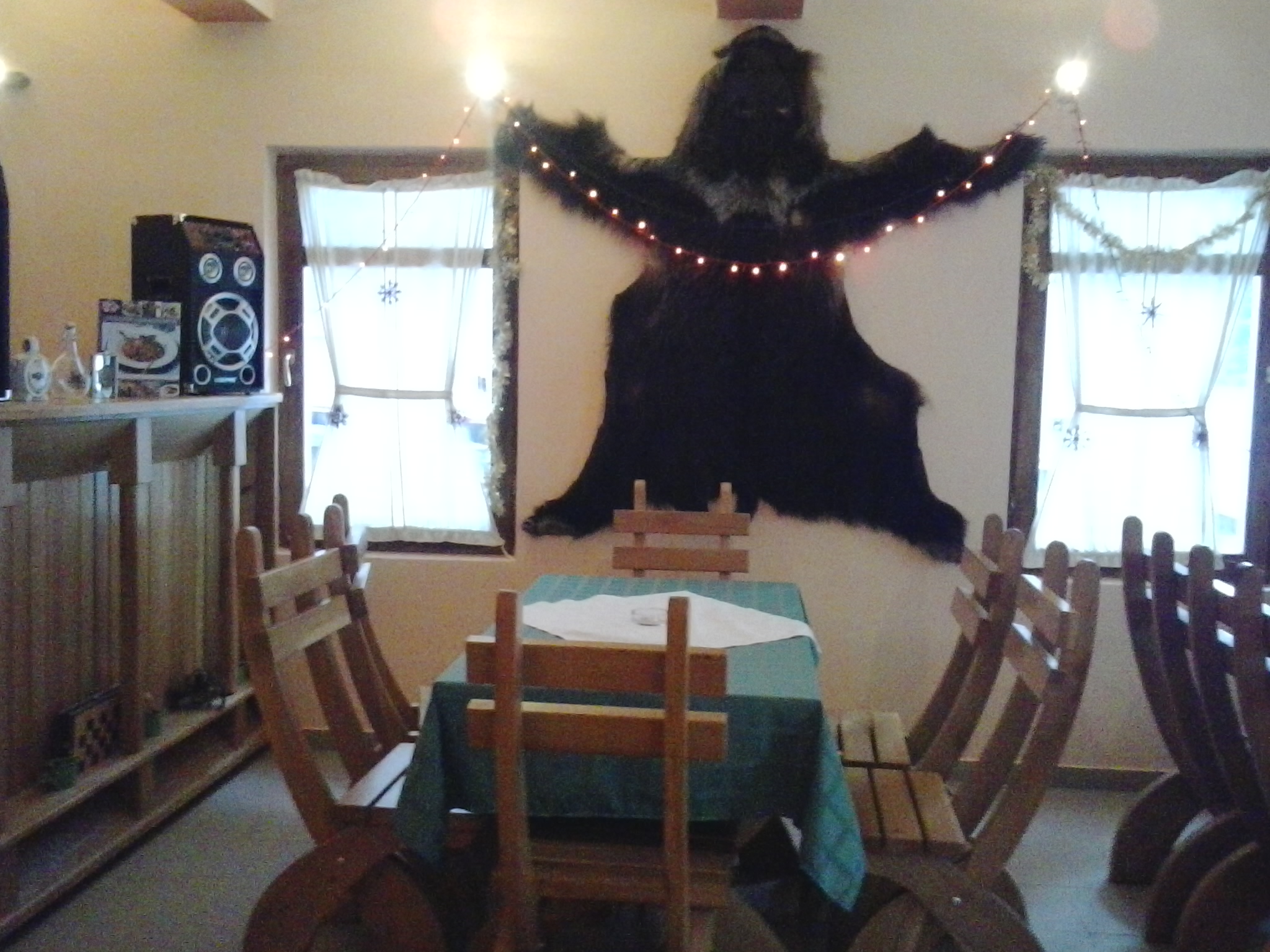 2013-01-12 12.53.21.jpg