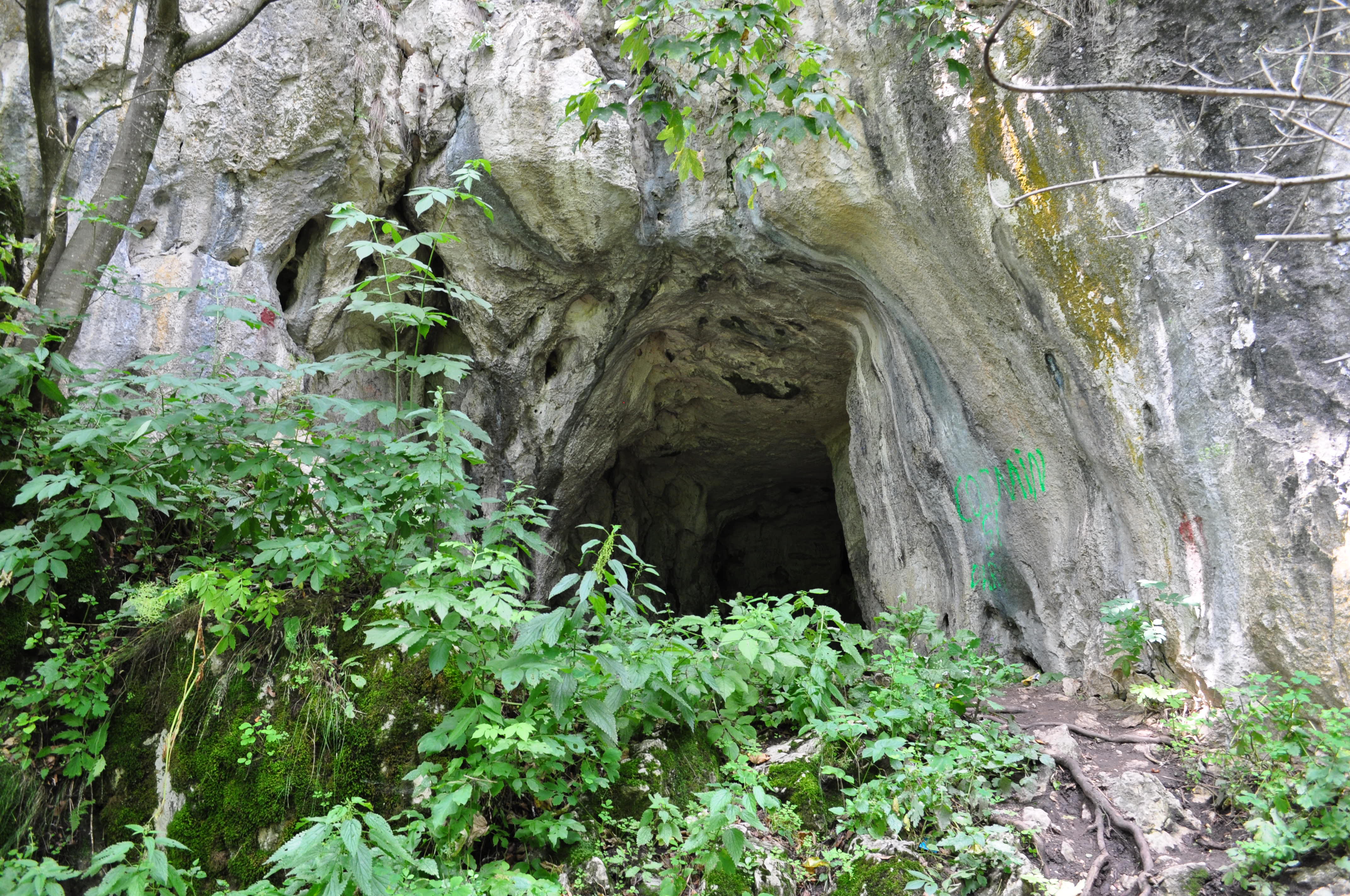 Pestera Liliecilor - Peştera.JPG