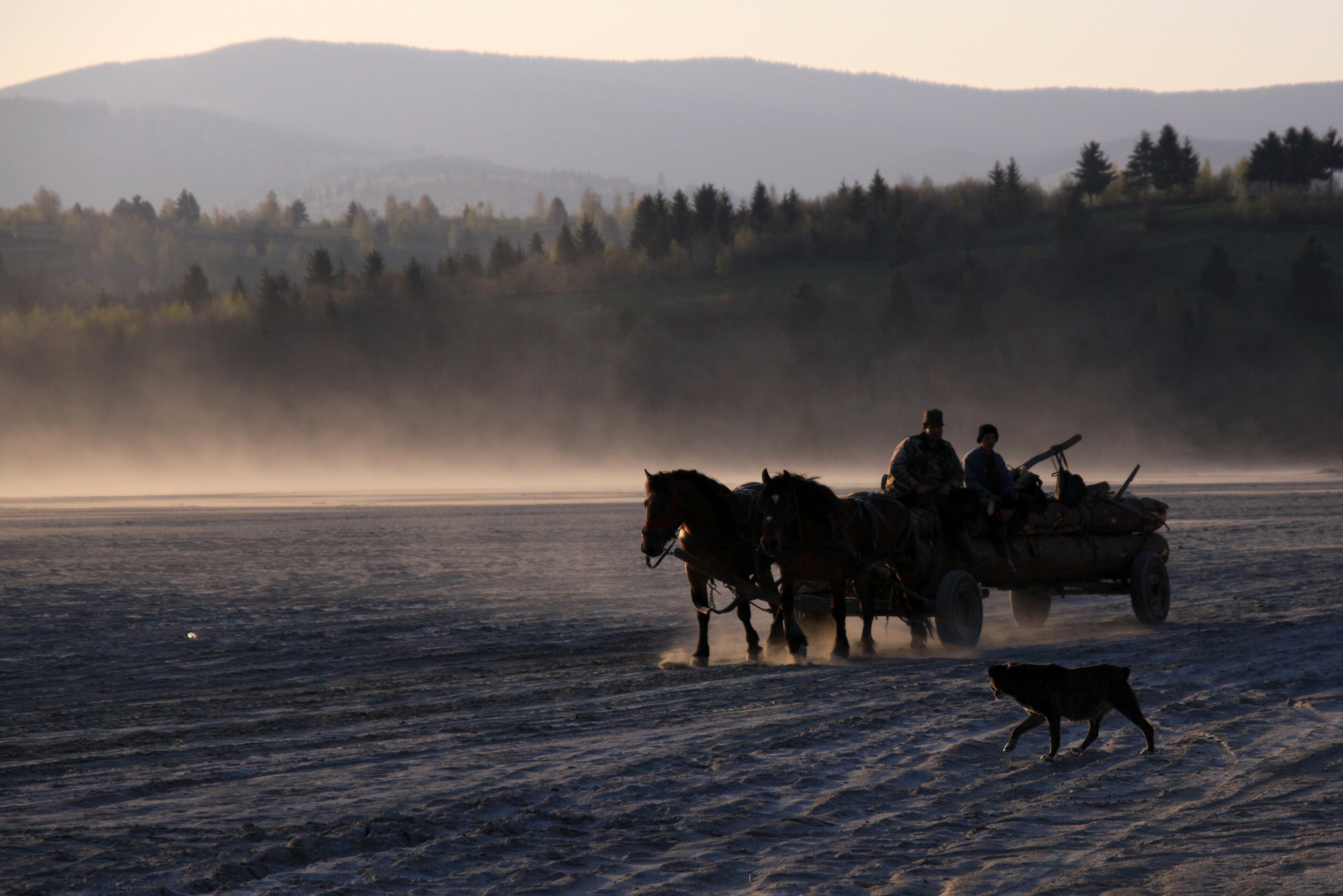 Felcsík_Téli fahozás_Csiki Csaba.JPG
