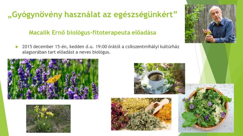 Gyógynövény használat az egészségünkért.jpg